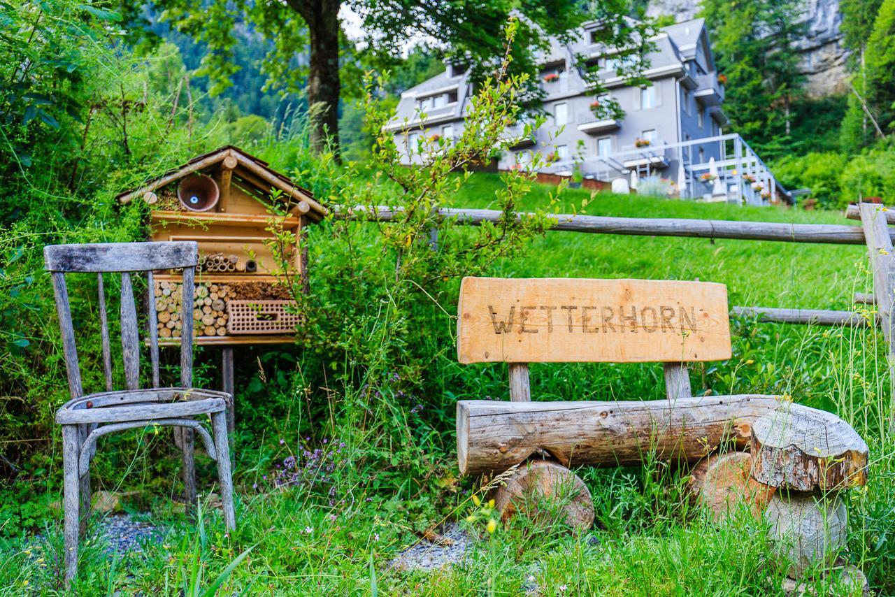 Hotel Wetterhorn هاسليبرغ المظهر الخارجي الصورة