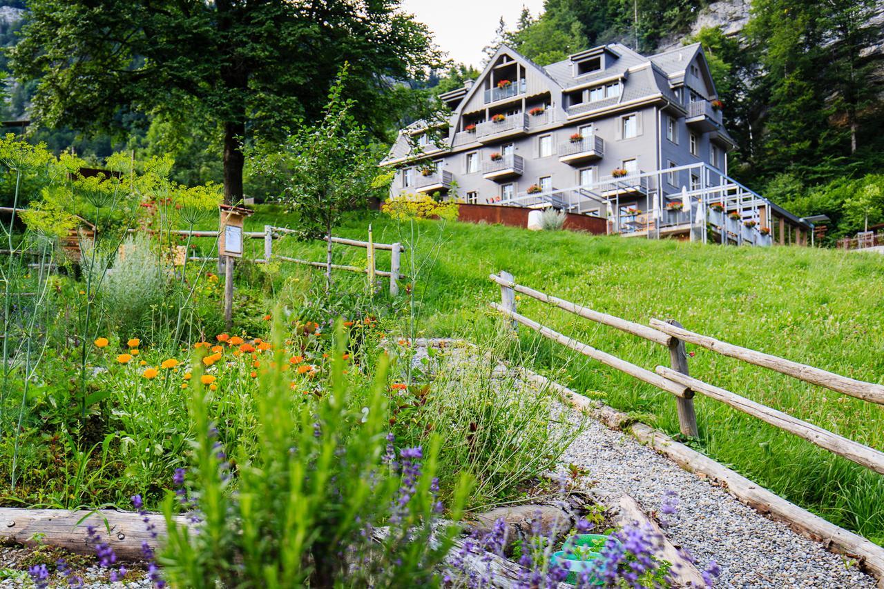 Hotel Wetterhorn هاسليبرغ المظهر الخارجي الصورة